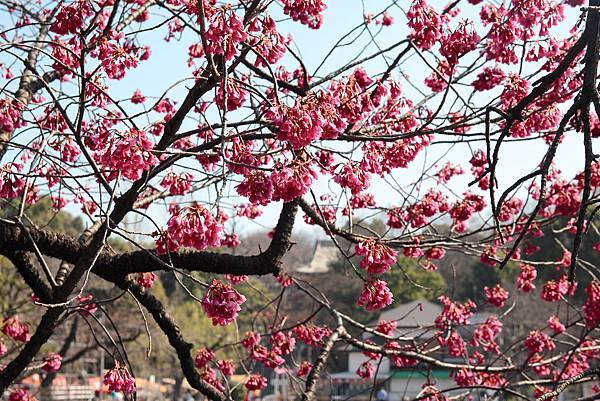 130317 by Ben 130317 by Ben