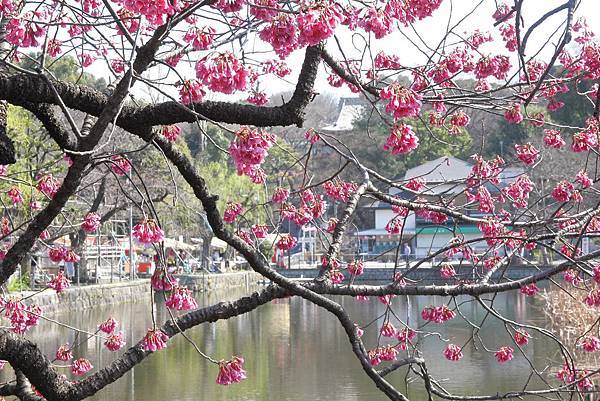 130317 by Ben 130317 by Ben