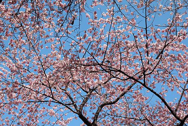 130317 by Ben 130317 by Ben
