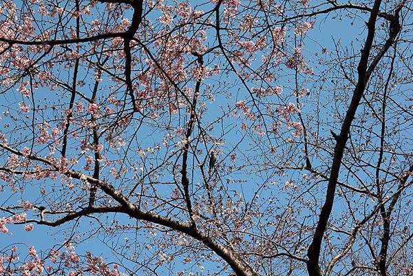130317 by Ben 130317 by Ben