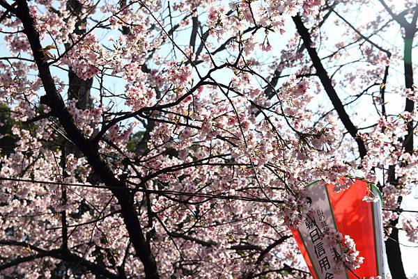 130317 by Ben 130317 by Ben