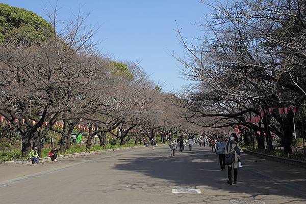 130317 by Ben 130317 by Ben