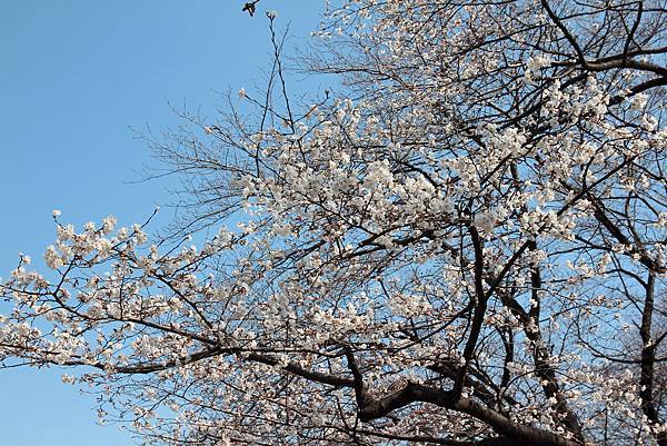 130317 by Ben 130317 by Ben