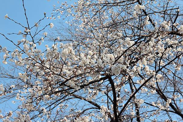 130317 by Ben 130317 by Ben