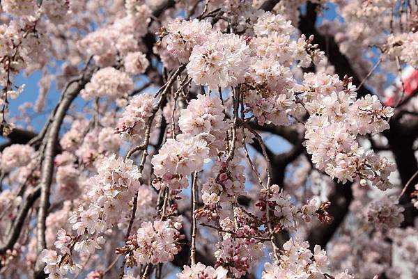 130317 by Ben 130317 by Ben