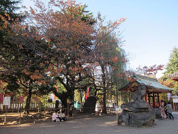 131123-3 淺草寺 (5) 131123-3 淺草寺 (5)