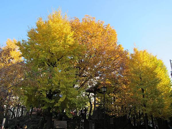 131123-3 淺草寺 (8) 131123-3 淺草寺 (8)