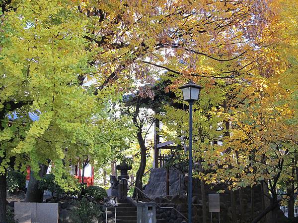 131123-3 淺草寺 (9) 131123-3 淺草寺 (9)