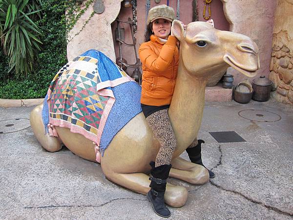 131124-2 Tokyo Disney Sea (73) 131124-2 Tokyo Disney Sea (73)