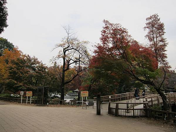 131125-3 井之頭恩賜公園 (16)