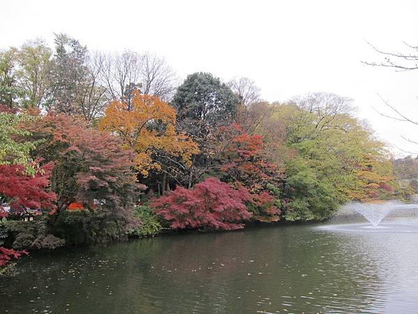 131125-3 井之頭恩賜公園 (18)