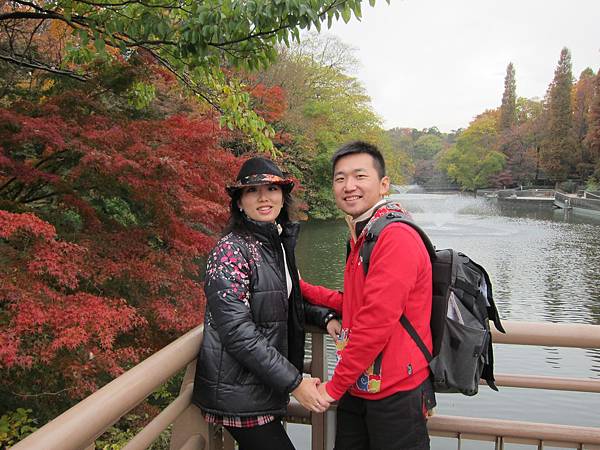 131125-3 井之頭恩賜公園 (23) 131125-3 井之頭恩賜公園 (23)