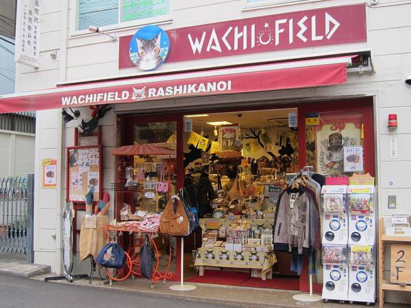 131125-4 WachiField 吉祥寺店