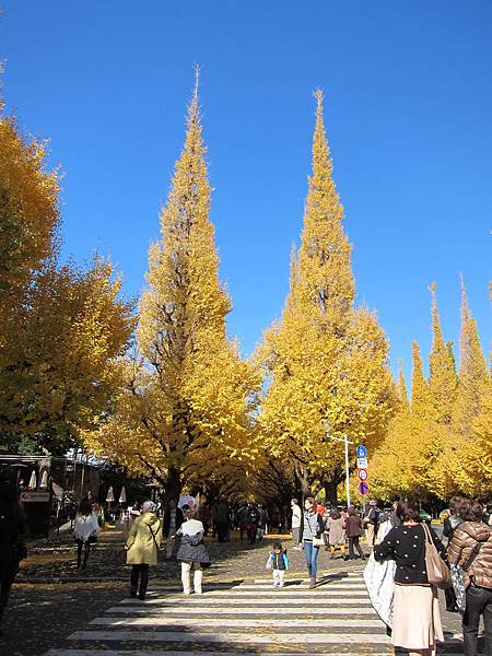 131126-2 神宮外苑 (13) 131126-2 神宮外苑 (13)