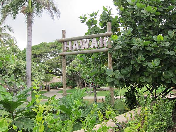 夏威夷 Hawaii (1) 夏威夷 Hawaii (1)