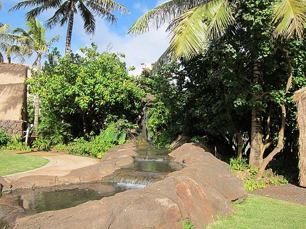 夏威夷 Hawaii (8) 夏威夷 Hawaii (8)