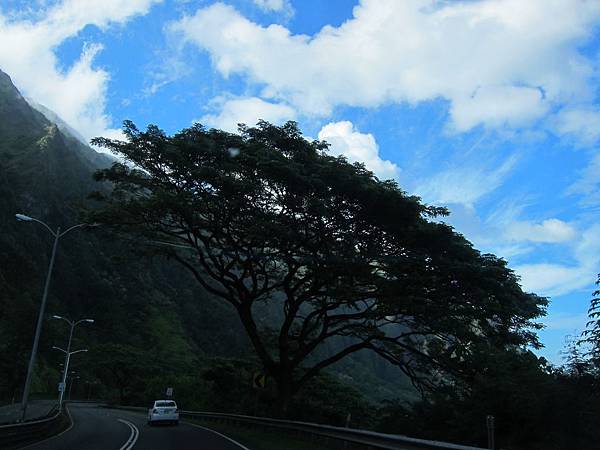 131208-5 Kamehameha Highway (2)