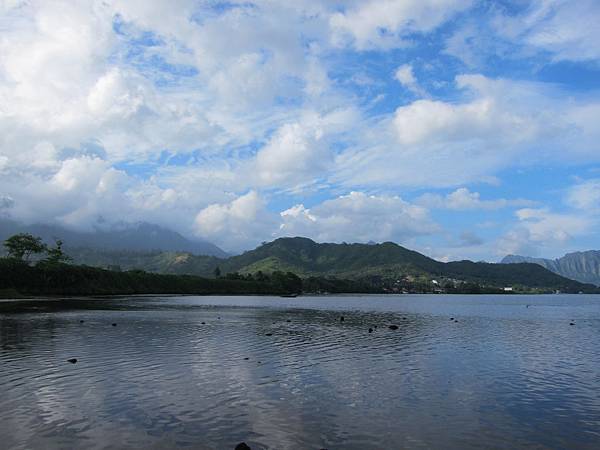 131208-5 Kamehameha Highway (6)