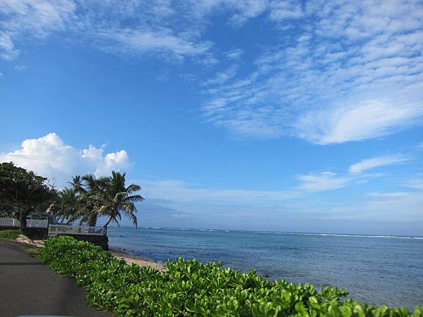 131208-5 Kamehameha Highway (13)