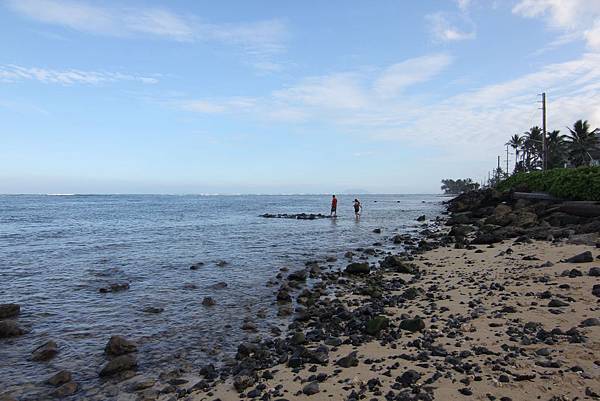 131208-5 Kamehameha Highway (21)