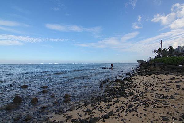 131208-5 Kamehameha Highway (22)