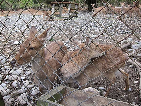 140302-2 兆豐農場 (34)