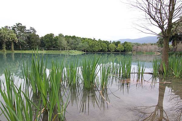 140303-3 雲山水 (11)