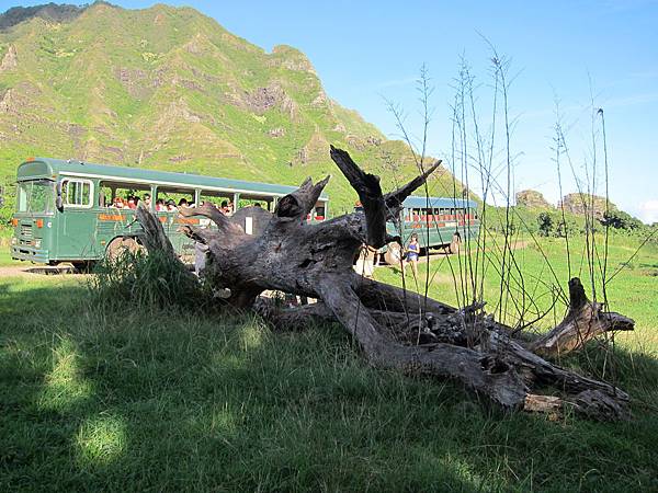 131212-1 Kualoa Ranch (24)