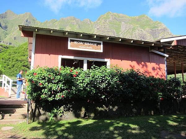 131212-1 Kualoa Ranch (60) 131212-1 Kualoa Ranch (60)