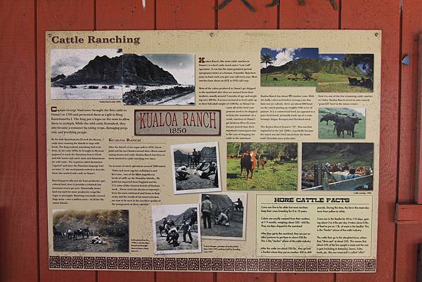 131212-1 Kualoa Ranch (70) 131212-1 Kualoa Ranch (70)