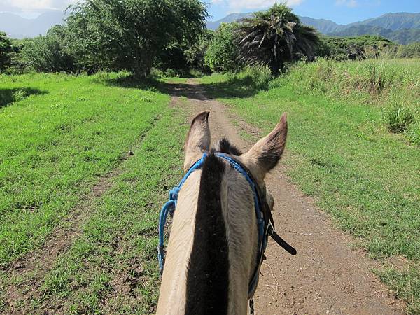 131212-1 Kualoa Ranch (87)