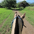 131212-1 Kualoa Ranch (87)