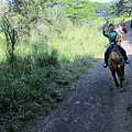 131212-1 Kualoa Ranch (89)