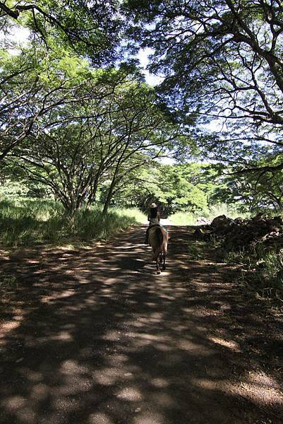 131212-1 Kualoa Ranch (91)