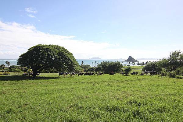 131212-1 Kualoa Ranch (105)