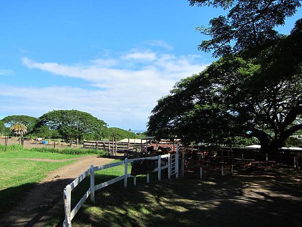 131212-1 Kualoa Ranch (106) 131212-1 Kualoa Ranch (106)