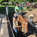 131212-1 Kualoa Ranch (107)