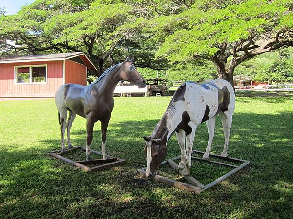 131212-1 Kualoa Ranch (116)