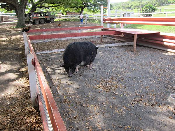 131212-1 Kualoa Ranch (125)