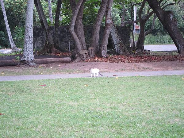 131212-3 Kualoa Beach Park (5)