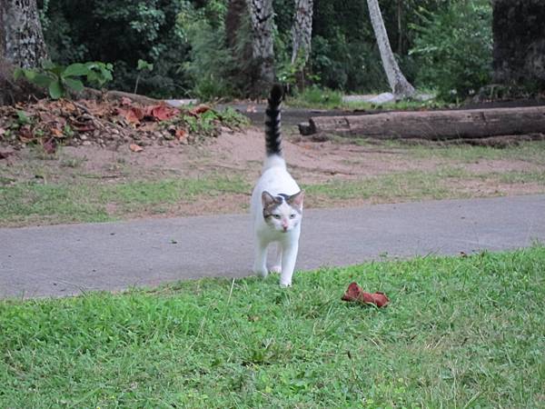 131212-3 Kualoa Beach Park (6)