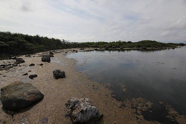 140512-3 海生館濕地公園 (1)