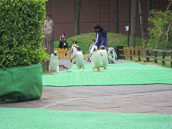 140528-3 尼克斯海洋公園 (30)