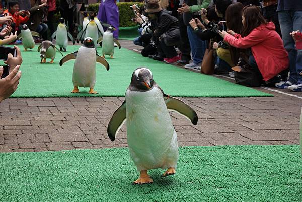 140528-3 尼克斯海洋公園 (38)