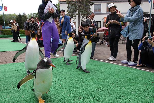 140528-3 尼克斯海洋公園 (39)