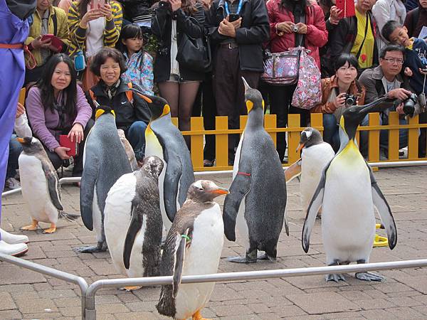 140528-3 尼克斯海洋公園 (44)