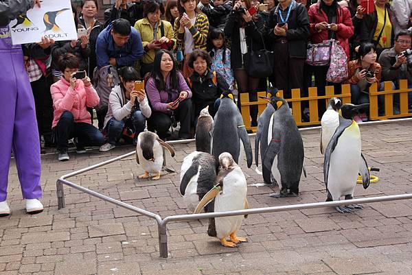 140528-3 尼克斯海洋公園 (45)