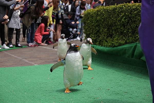 140528-3 尼克斯海洋公園 (46)