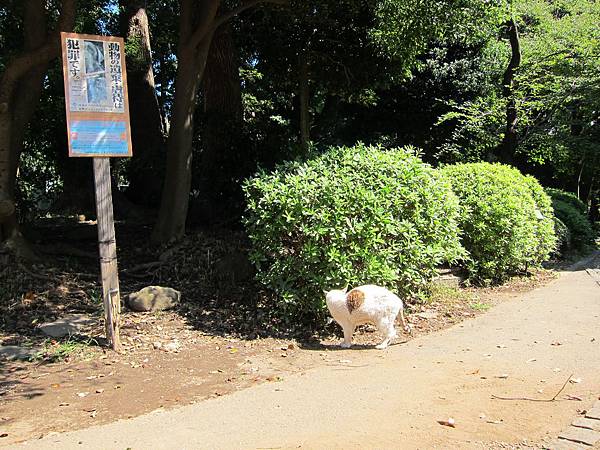 140914-4 上野恩賜公園 (17)