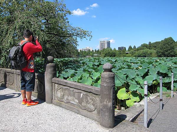 140914-4 上野恩賜公園 (30)